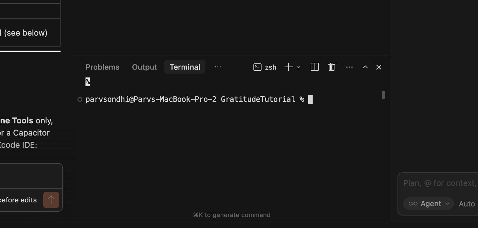 Integrated terminal panel in Cursor (Ctrl + `)